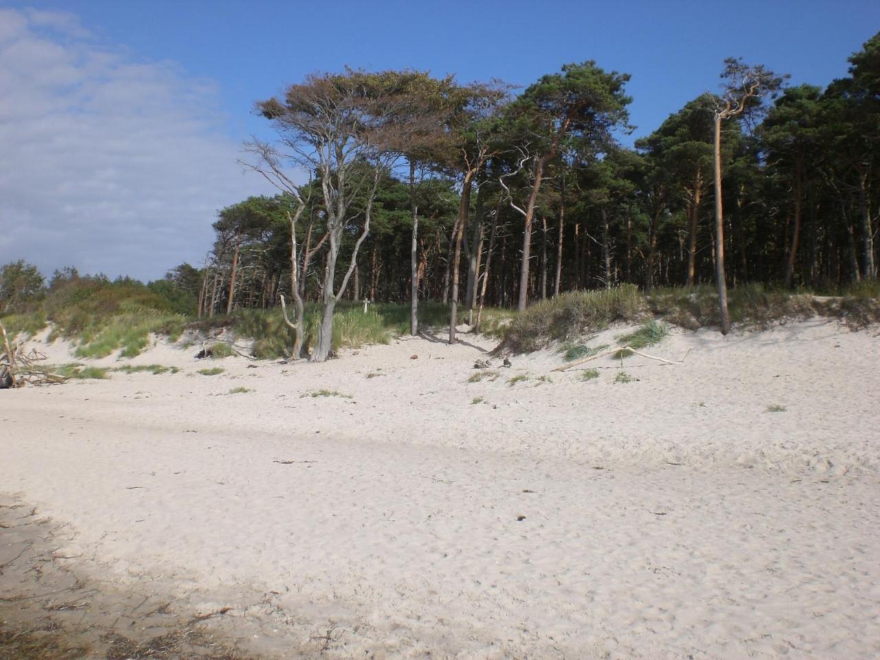 Achtern - Diek - Am Strand Zingst Exterior photo