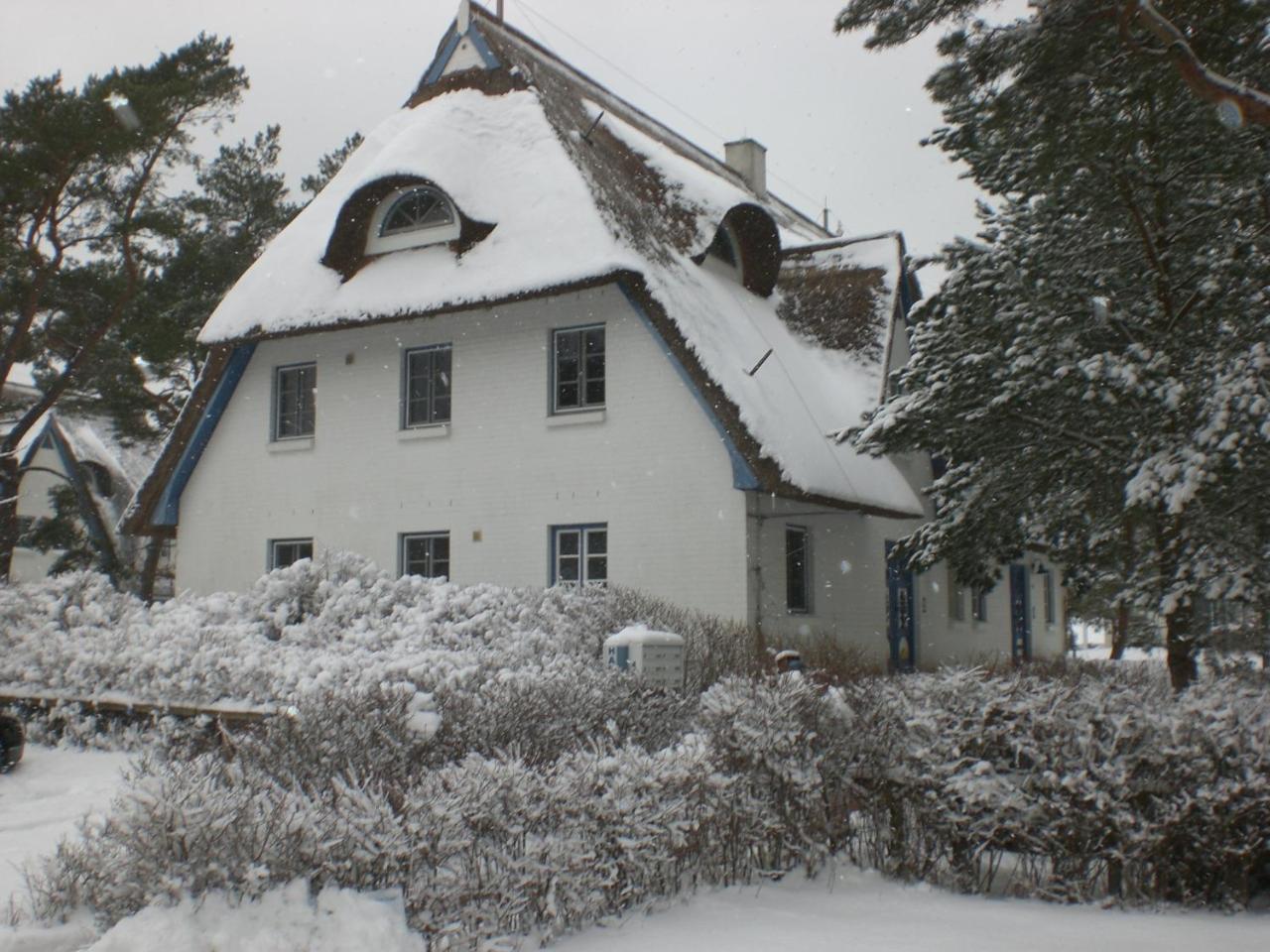Achtern - Diek - Am Strand Zingst Exterior photo