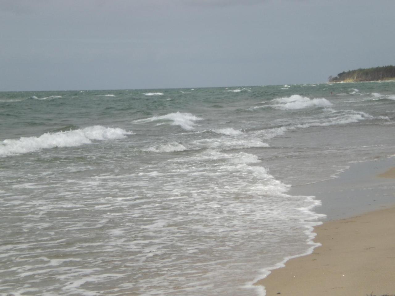 Achtern - Diek - Am Strand Zingst Exterior photo