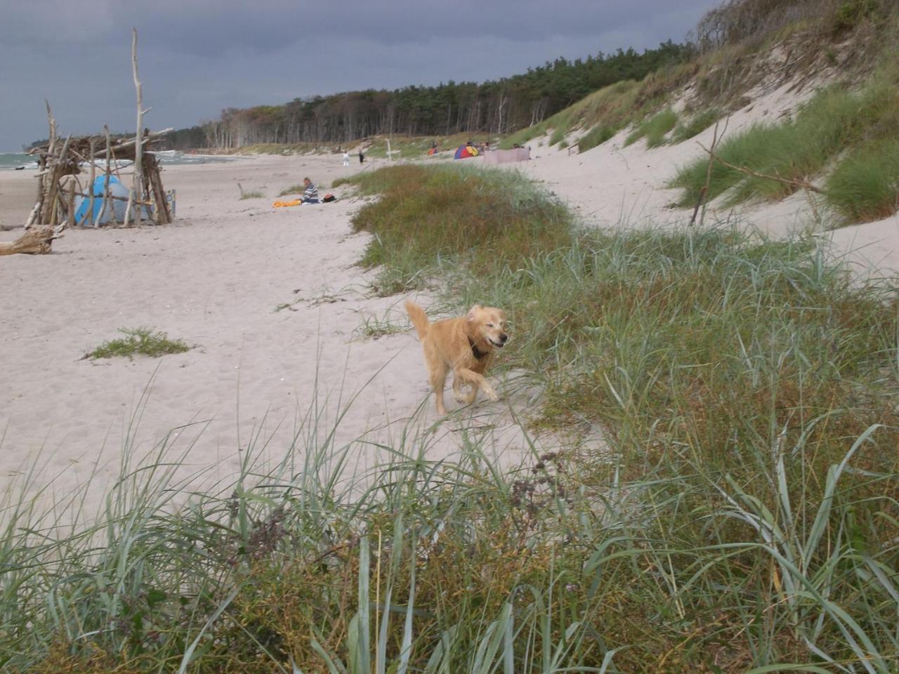 Achtern - Diek - Am Strand Zingst Exterior photo