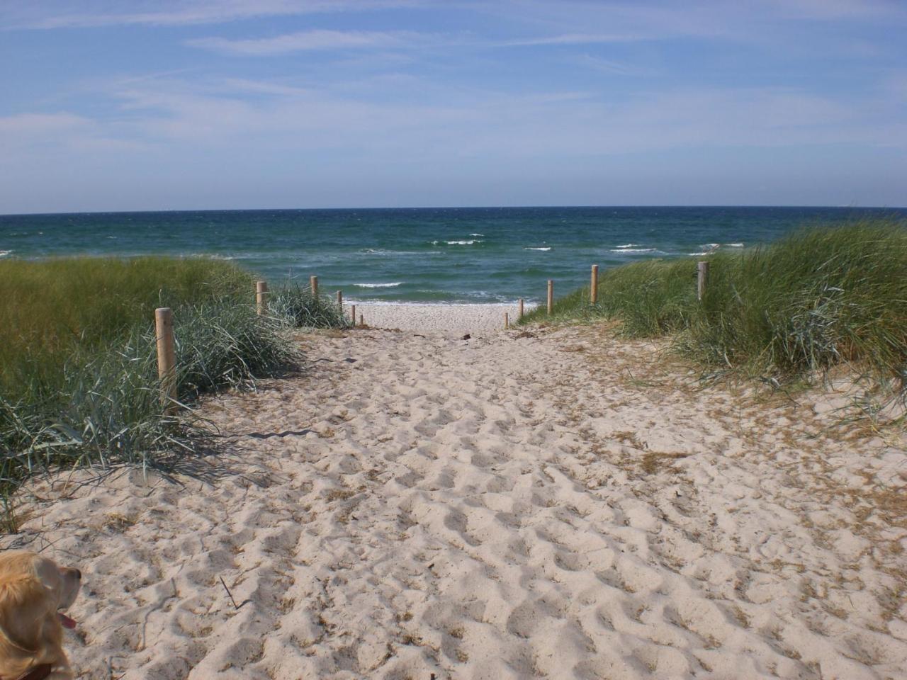 Achtern - Diek - Am Strand Zingst Exterior photo